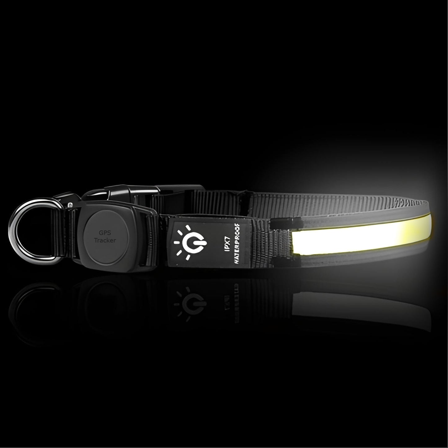 LED Hundehalsband