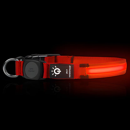 LED Hundehalsband